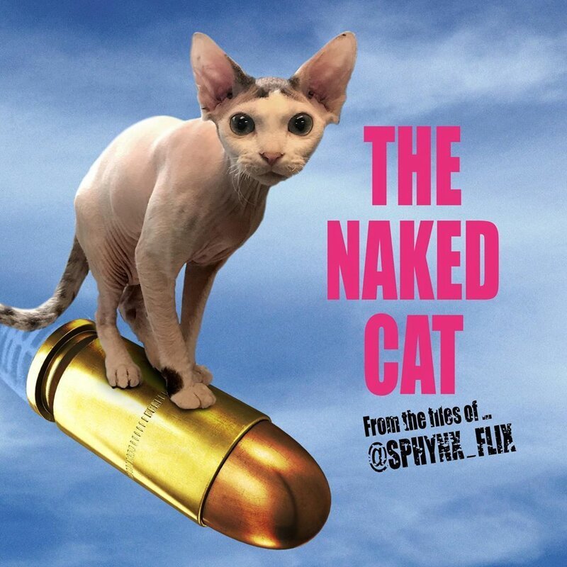 This Artist Photoshops Sphynx Cats Into Movie Posters, And It’s Very Funny