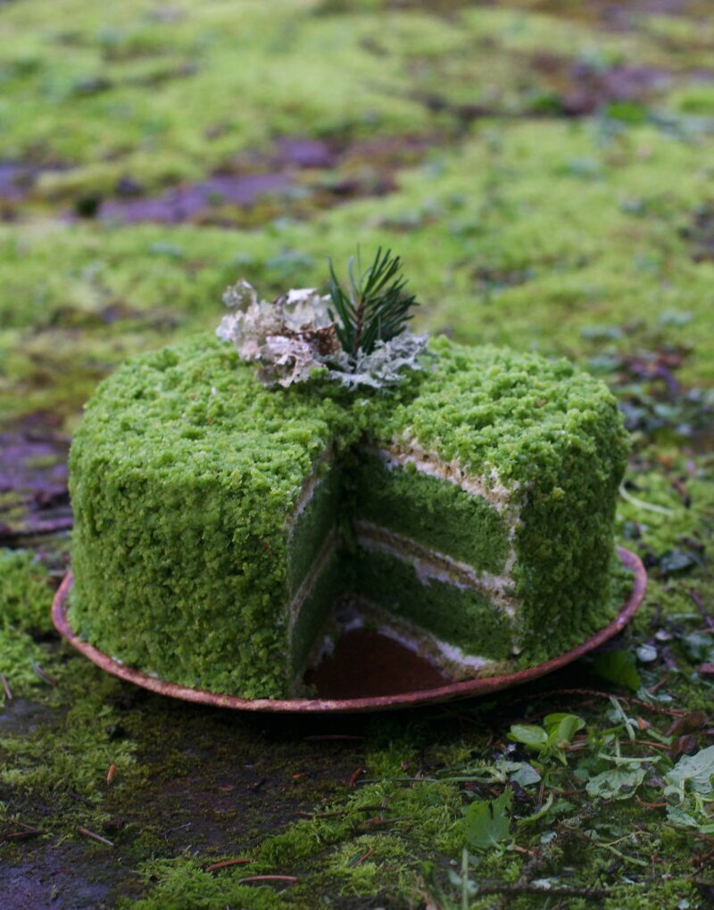 #5 Moss Cake