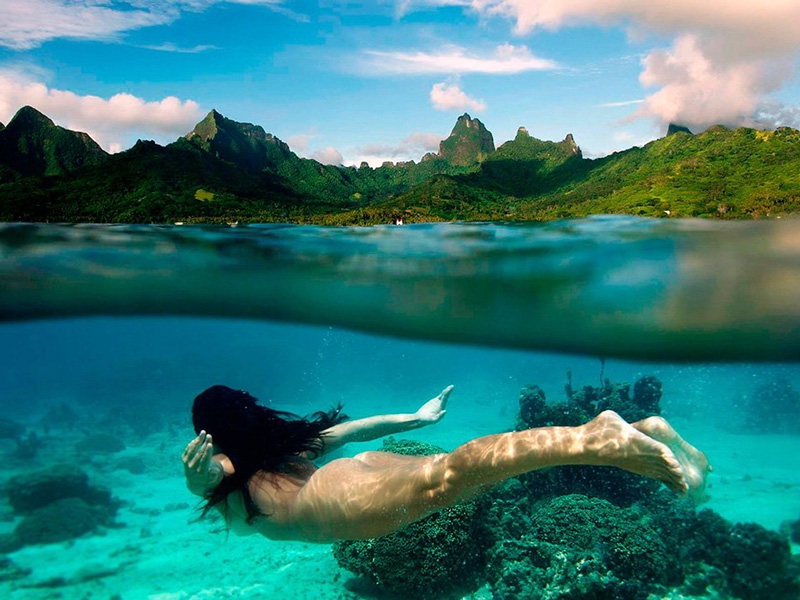 10 унікальних полуподводних фотографій підводна зйомка, фото