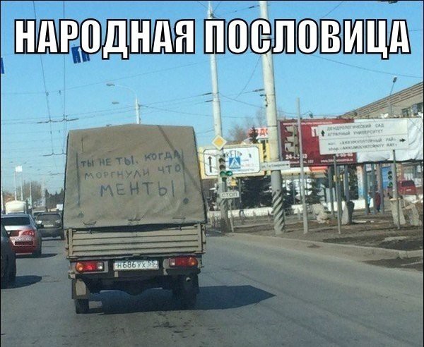 Смешные картинки с надписями 18
