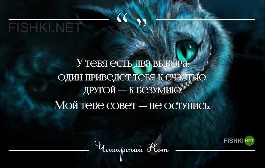 Где глупость образец там разум безумие тире