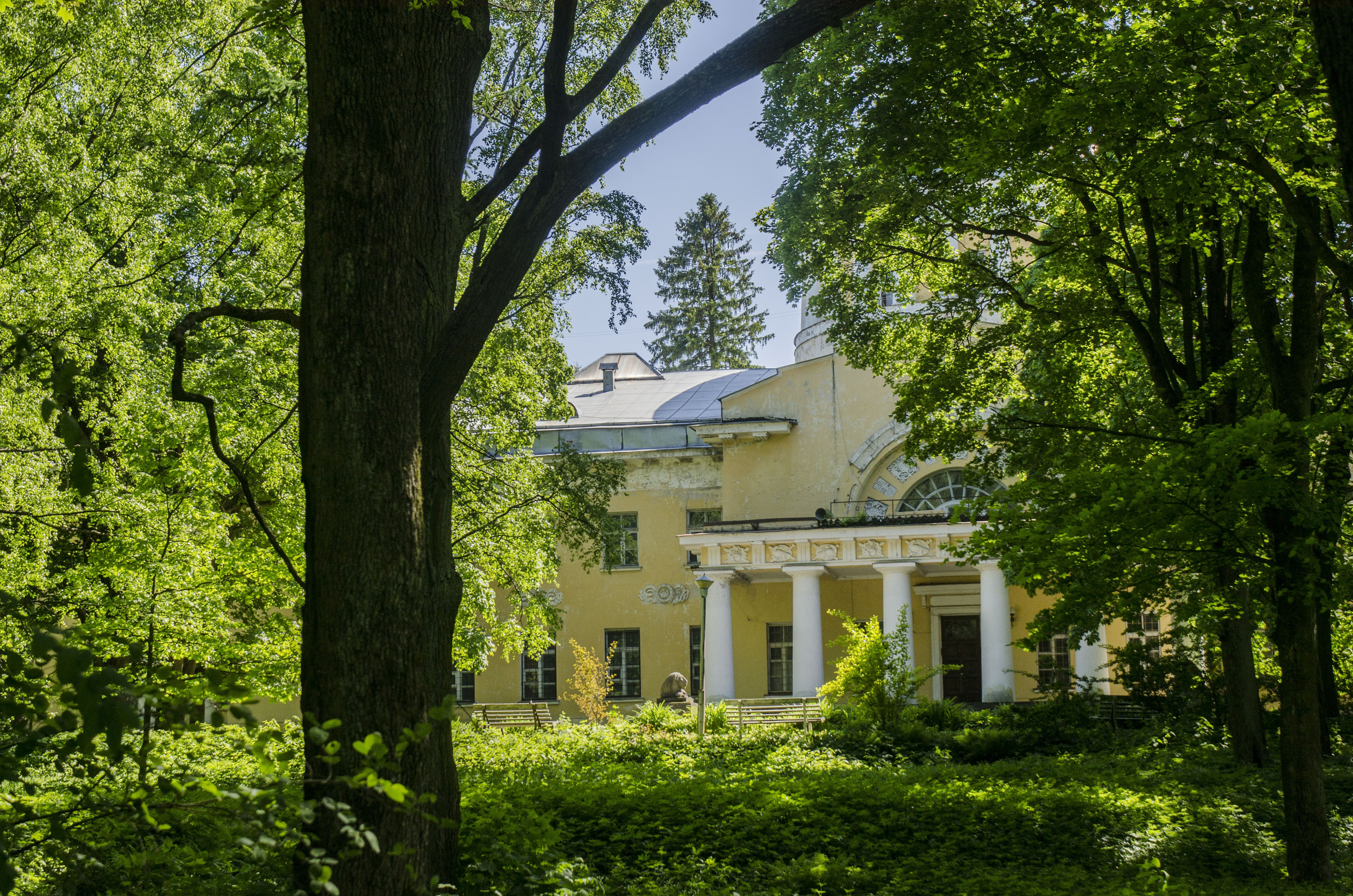 Шуваловский парк в санкт петербурге фото