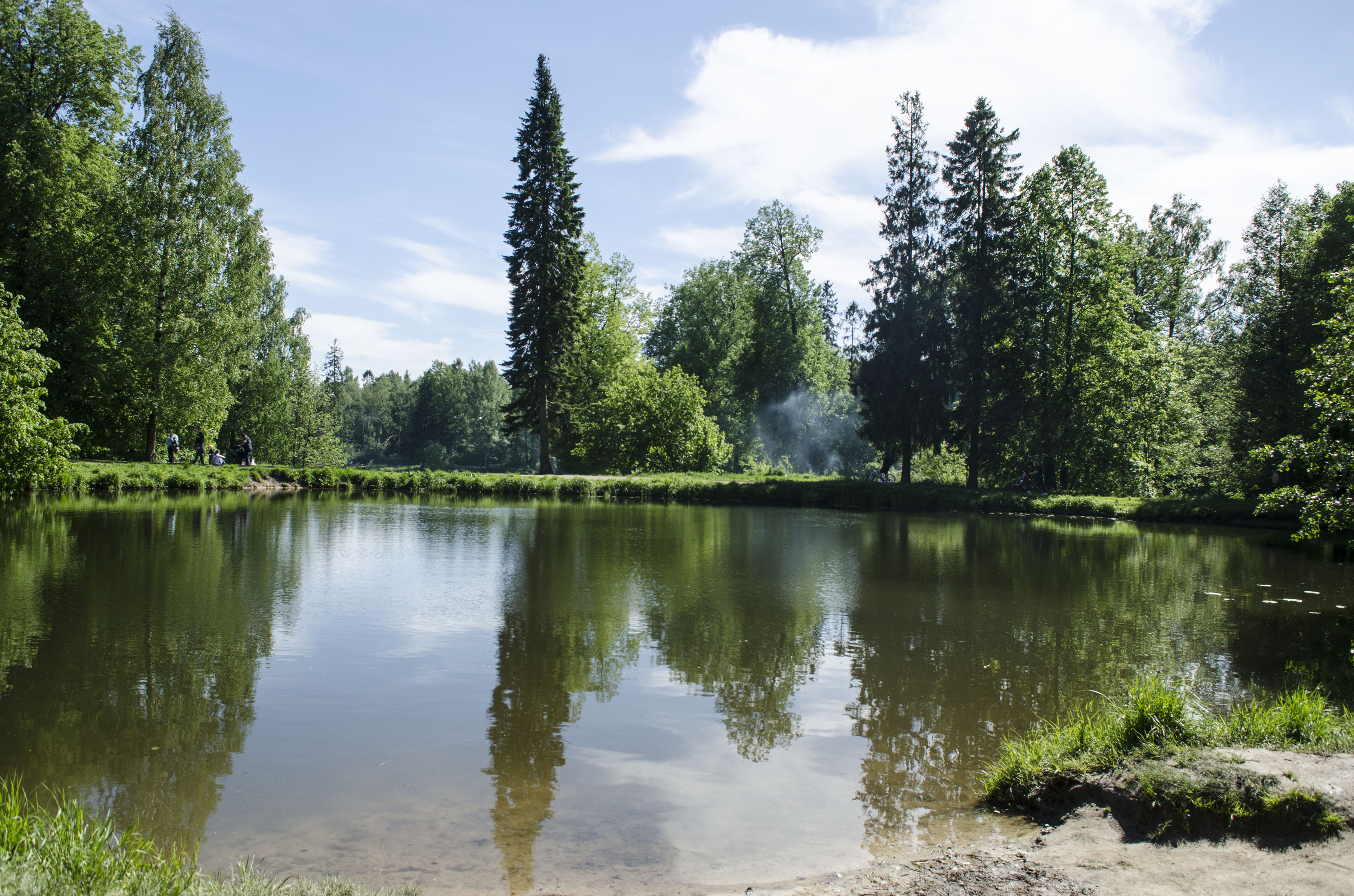 Шуваловский парк озера
