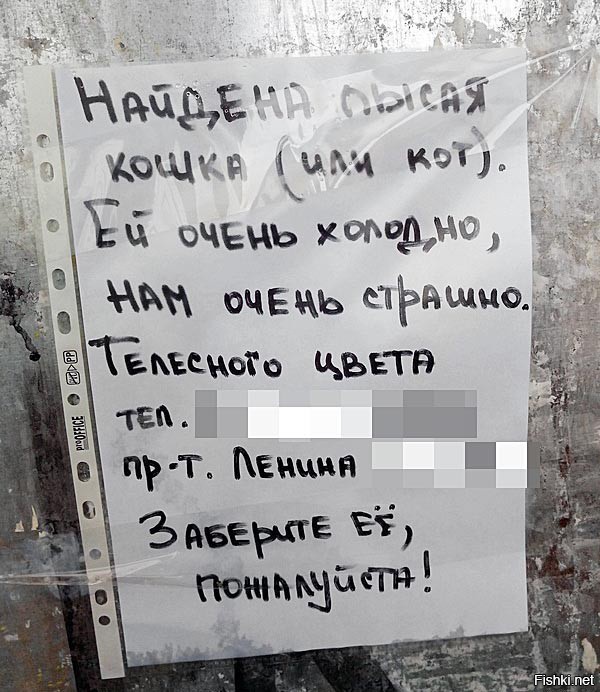Смешные комментарии из социальных сетей 23.06.15