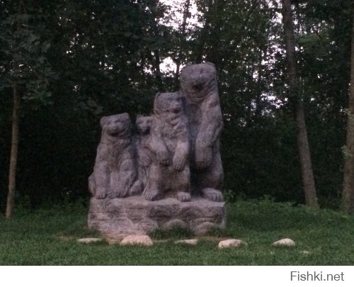 Медвежий Стан, п.Мурино, Ленинградская область