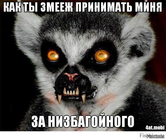 Узбагоинчики фото Узбагоинчики Фото