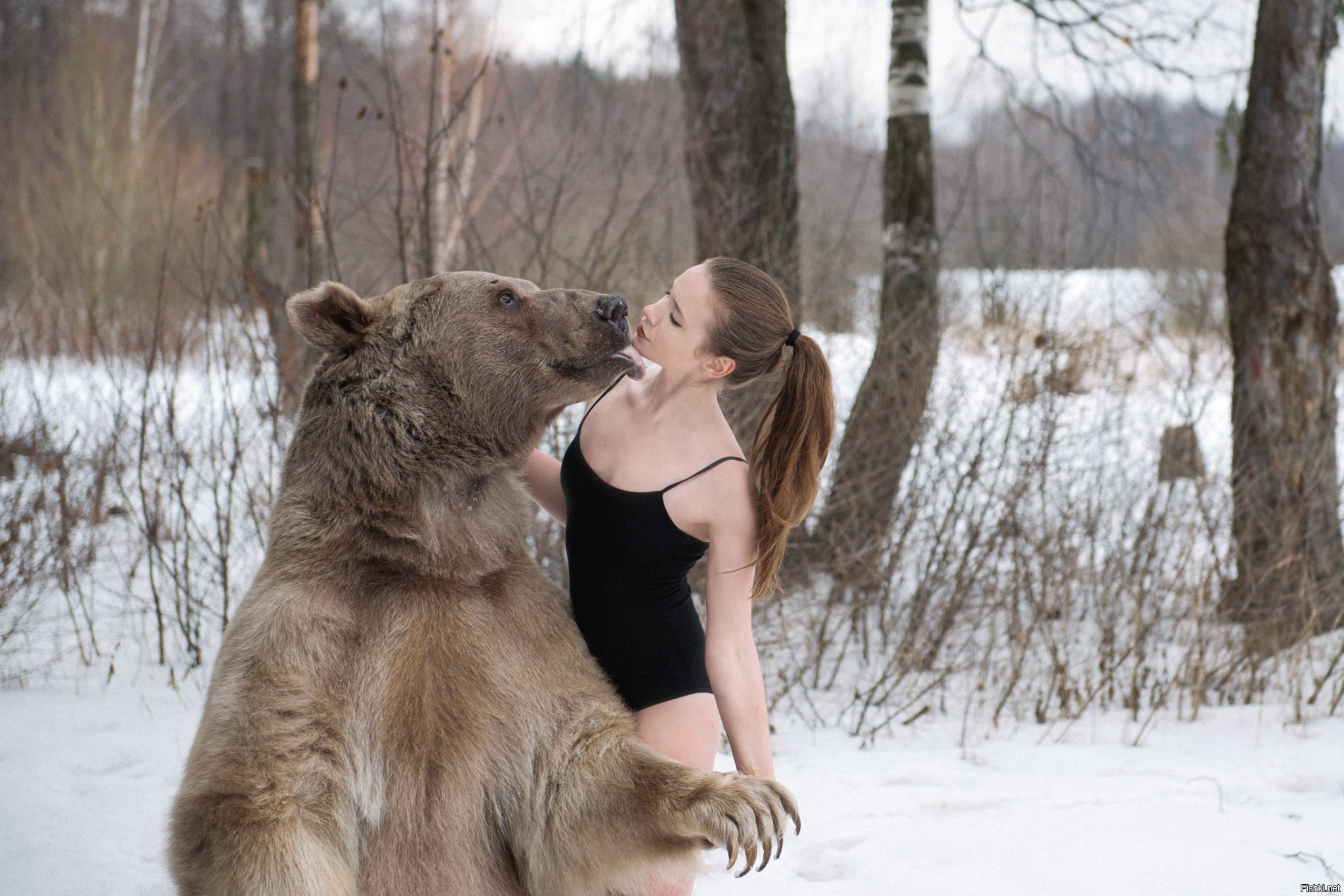 Снился Медведь Перед Знакомством С Мужем