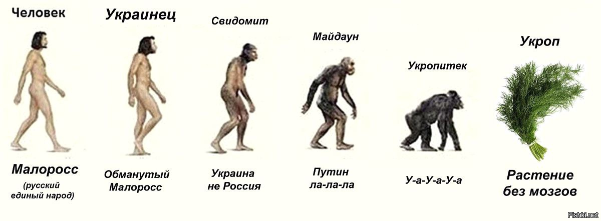 Если человек стал украинцем обратно человеком. Эволюция человека. Эволюция человека мемы. Укропитек деградация. Эволюция и деградация человека.
