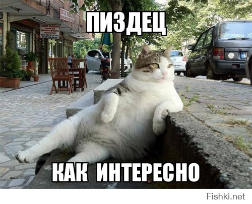 Прекрасны в бикини: российские звезды в возрасте за 40 показали себя