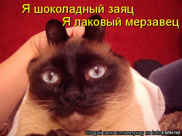 ПЕСНЯ Я ШОКОЛАДНЫЙ ЗАЯЦ ЛАСКОВЫЙ МЕРЗАВЕЦ СКАЧАТЬ БЕСПЛАТНО ПЕСНЯ Я ШОКОЛАДНЫЙ ЗАЯЦ ЛАСКОВЫЙ МЕРЗАВЕЦ СКАЧАТЬ БЕСПЛАТНО
