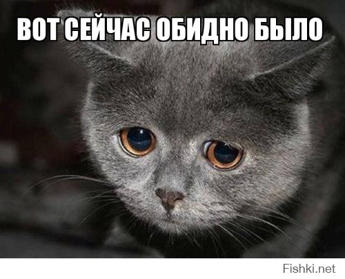 картинка а вот это сейчас обидно было расскажем