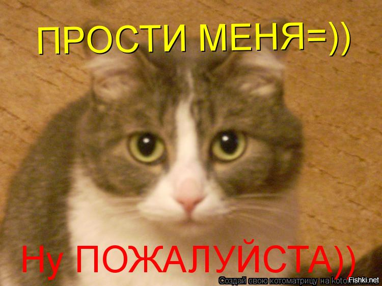 Сделай пожалуйста русский. Прости меня пожалуйста. Прости пожалуйста. Извините пожалуйста. Простите меня пожалуйста.