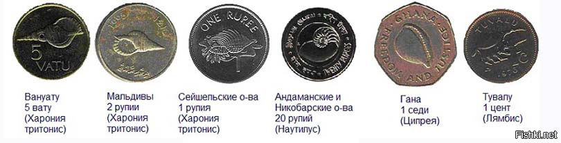 Очень итересные факты о деньгах.