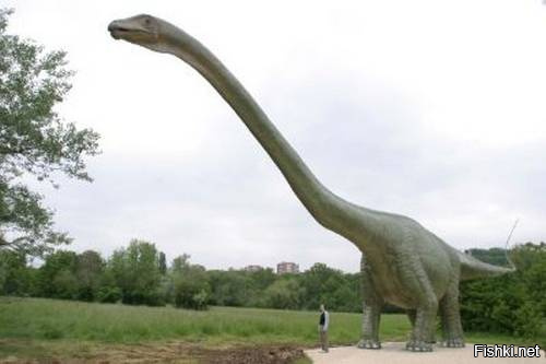 Сейсмозавр.
Первоначальная общая вычисленная длина тела   40 50 метров, а вес около 140 тонн.
Сейсмозавр является одним из крупнейших динозавров, когда-либо живших на нашей планете.