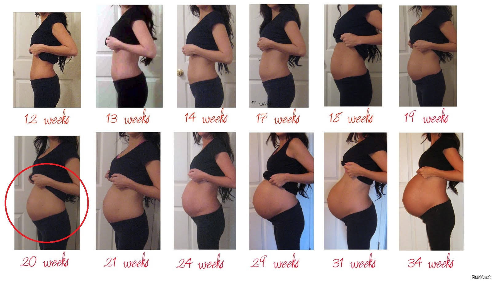Недели беременности ру. Живот не 12 окушерской недели беременности. Размер живота на 2 месяце беременности. Живот на 2 месяце беременности двойней. Живот по неделям беременности 2 беременность.