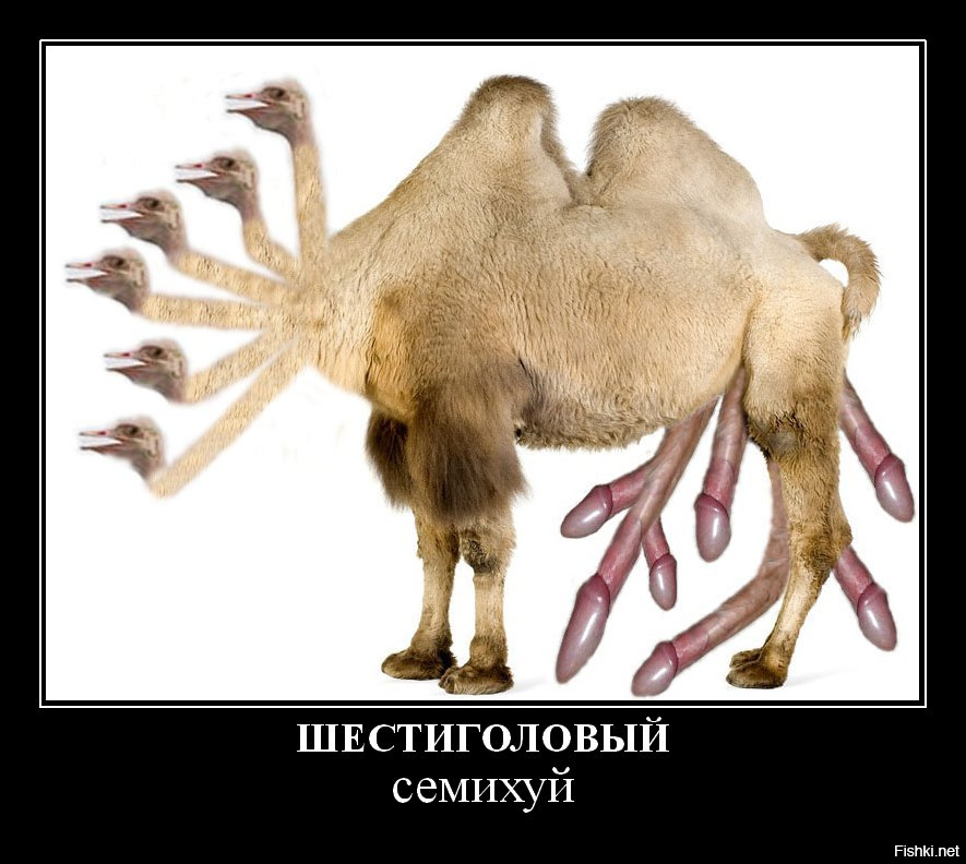 Восьмикрылый семихуй картинка