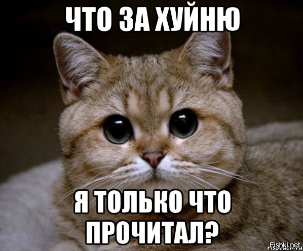 c5ae7f541cb076c9f7c8010999ba401f.jpg