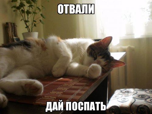 Картинки надписью, картинки спи давай