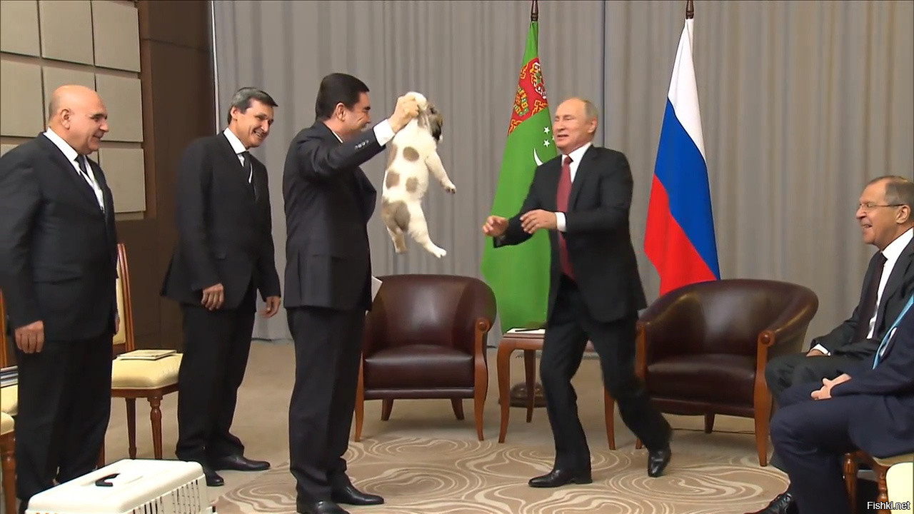 Курьезы на встречах президентов: голая активистка Порошенко, не пожал руку Трампу, уснул с Путиным
