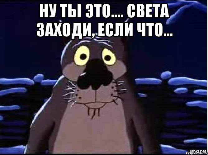 Картинки смешные про светку, днем рождения яндекс