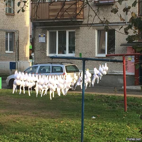 А че такого то, вот если б было так, то да!
