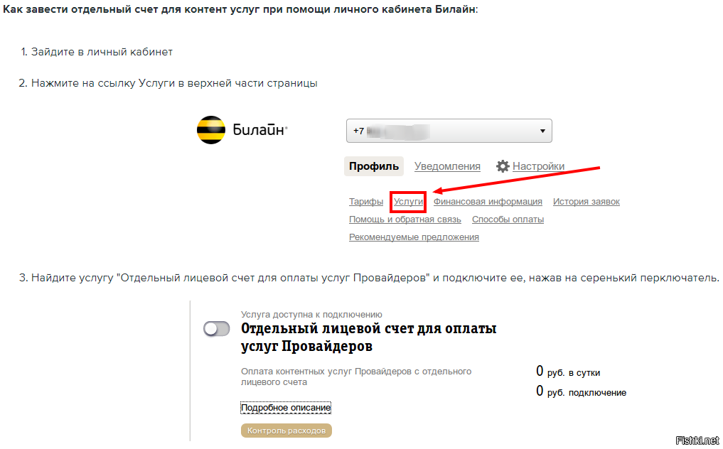 Номер лицевого счета домашнего билайн. Лицевой счет Билайн. "Отдельный лицевой счет для оплаты услуг провайдеров".