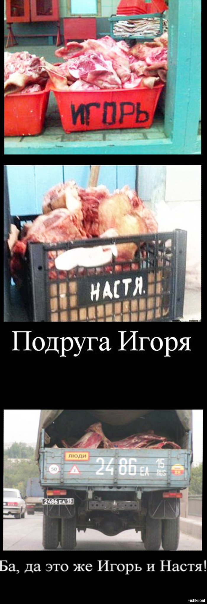 Интересно, веселые картинки про игоря