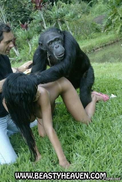 Monkey having sex with teen