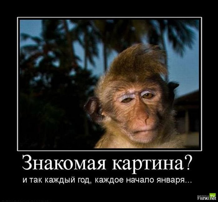 Дню сбербанка, прикольные картинки на работу после нового года