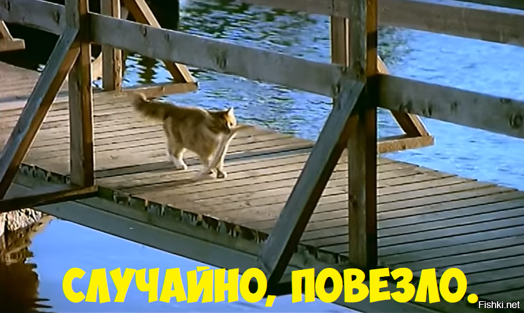 21775f3d1cafe026bdabfca5b0ba032c.png