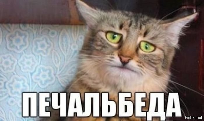 6c2cf7253853e35db1684234e11ae31c.jpg