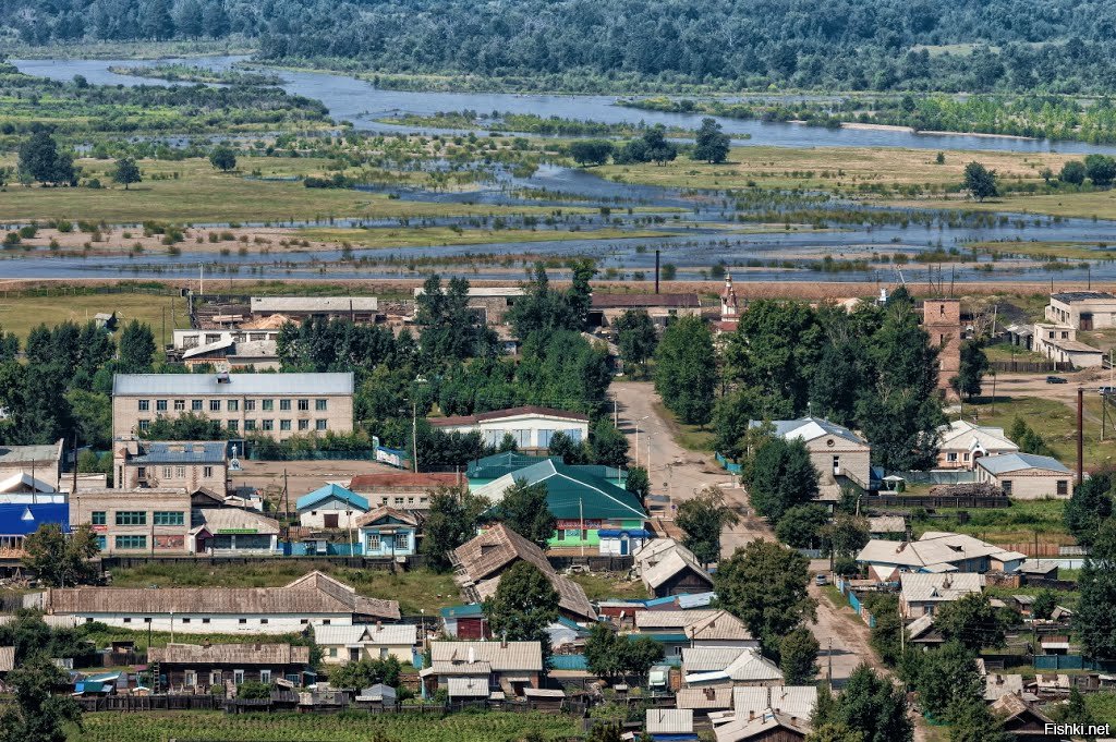 Купить Спайфиндер В Заб Крае