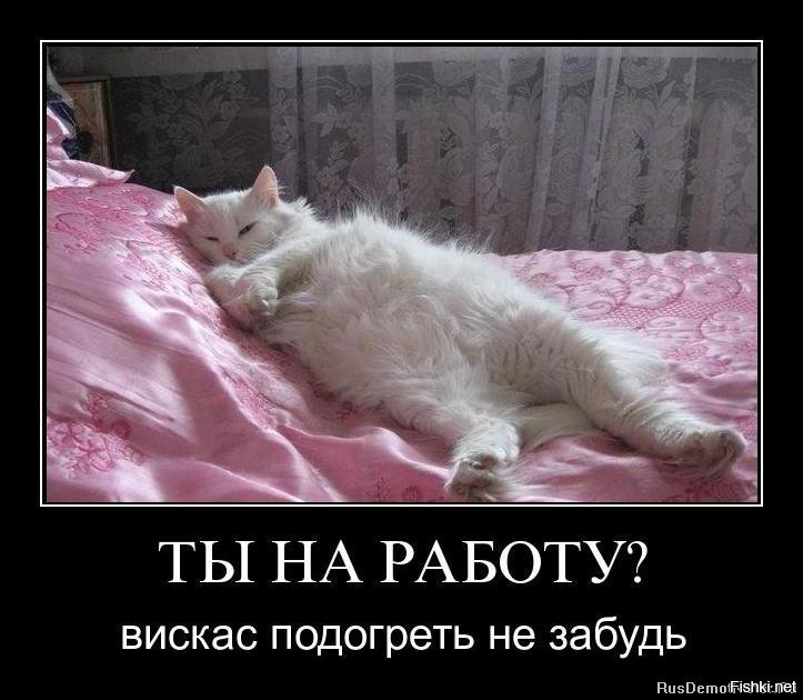 Картинки иди работай досплю за тебя