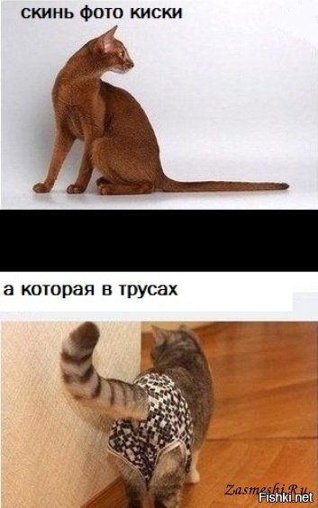 b1a645e3340985992c482e9f50d513fb.jpg
