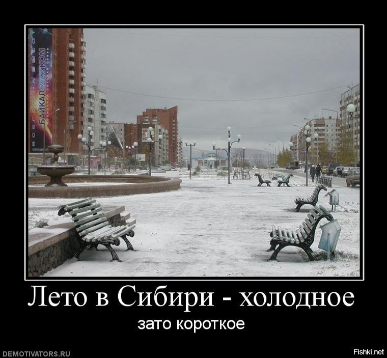 Фон анимацией, прикольные картинки холодного лета 2019