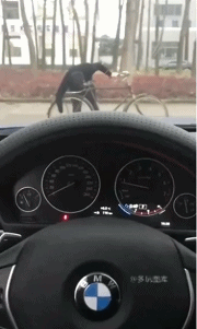 8dc78c3794725417609800c0242c3443.gif