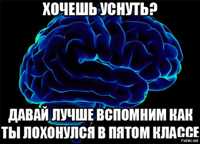 Марта своими, смешные картинки мозг ночью