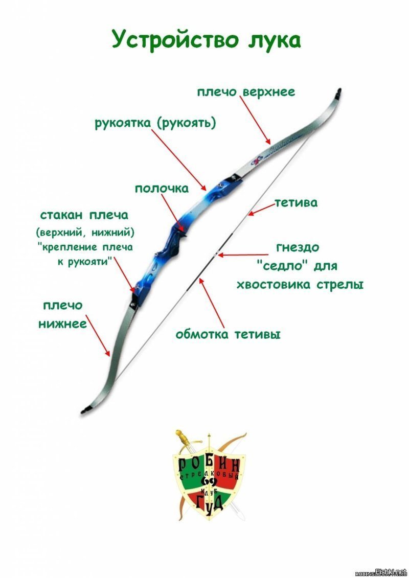 Где находится лук. Строение лука оружие. Составные части лука для стрельбы. Строение стрелы лука. Из чего состоит лук для стрельбы.