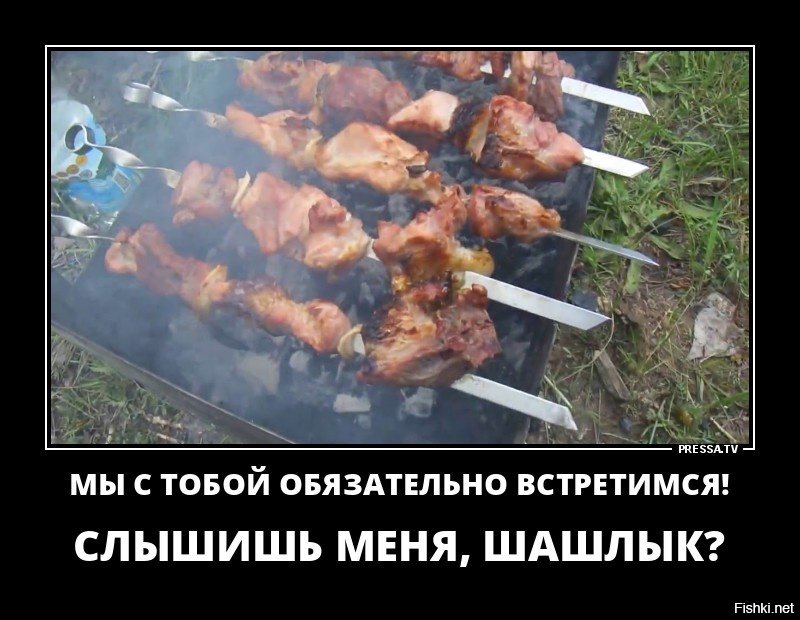 много, пойдем на шашлыки картинки материал, имитирующий