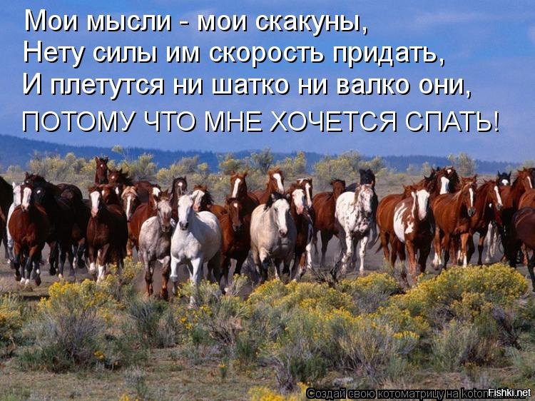 ГАЗМАНОВ МОИ МЫСЛИ СКАКУНЫ СКАЧАТЬ БЕСПЛАТНО ГАЗМАНОВ МОИ МЫСЛИ СКАКУНЫ СКАЧАТЬ БЕСПЛАТНО