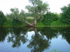 РФ, Самара, Подгоры.