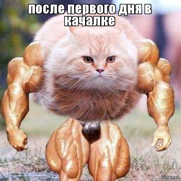 Картинка с надписью я ща, подписать