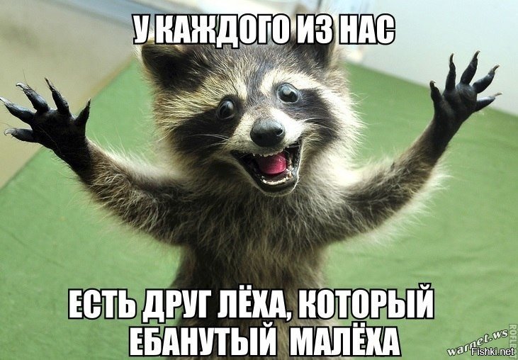 Смешные картинки с днем рождения надписями до слез