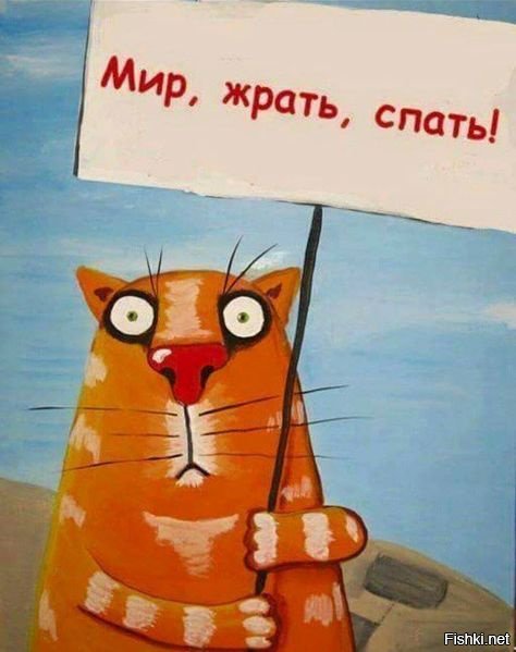 546775a68a1c54daefa4ab96beaac941.jpg