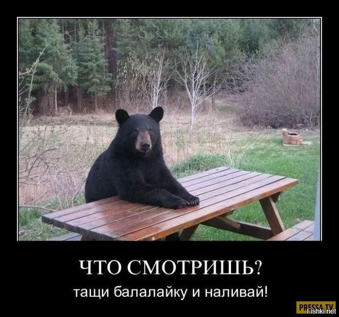 Где медведи? Наталия Орейро станцевала в кокошнике и спела на русском