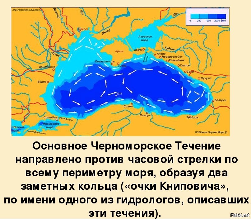 Карта течений в черном море сейчас