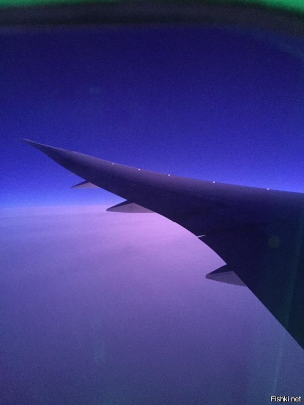 20+ красочных доказательств того, что в самолёте всегда нужно садиться у окна