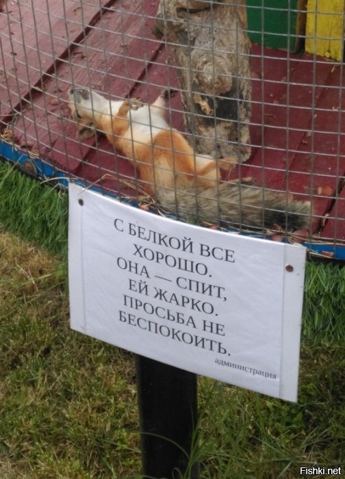 русского женатого мужика трахает гей в жопу русского женатого мужика трахает гей в жопу