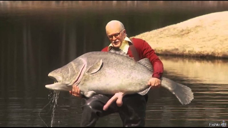 Thay-e-gard chic or shadow fishing