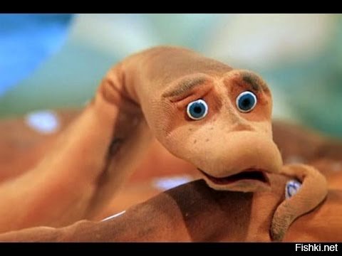 Ушел и не вернулся: пропавшего парня из Индонезии нашли в желудке питона